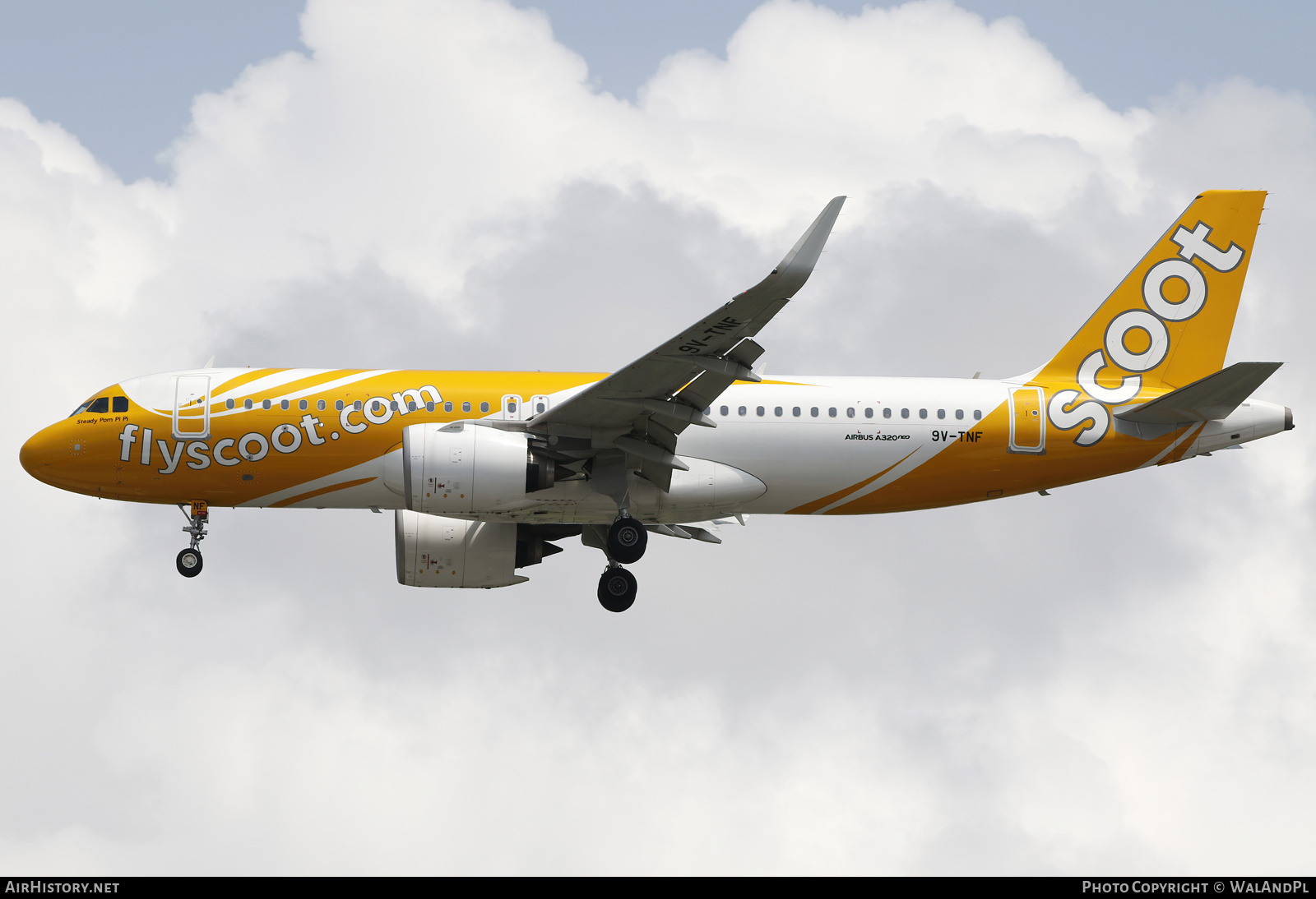 Aircraft Photo of 9V-TNF | Airbus A320-271N | Scoot | AirHistory.net #666451