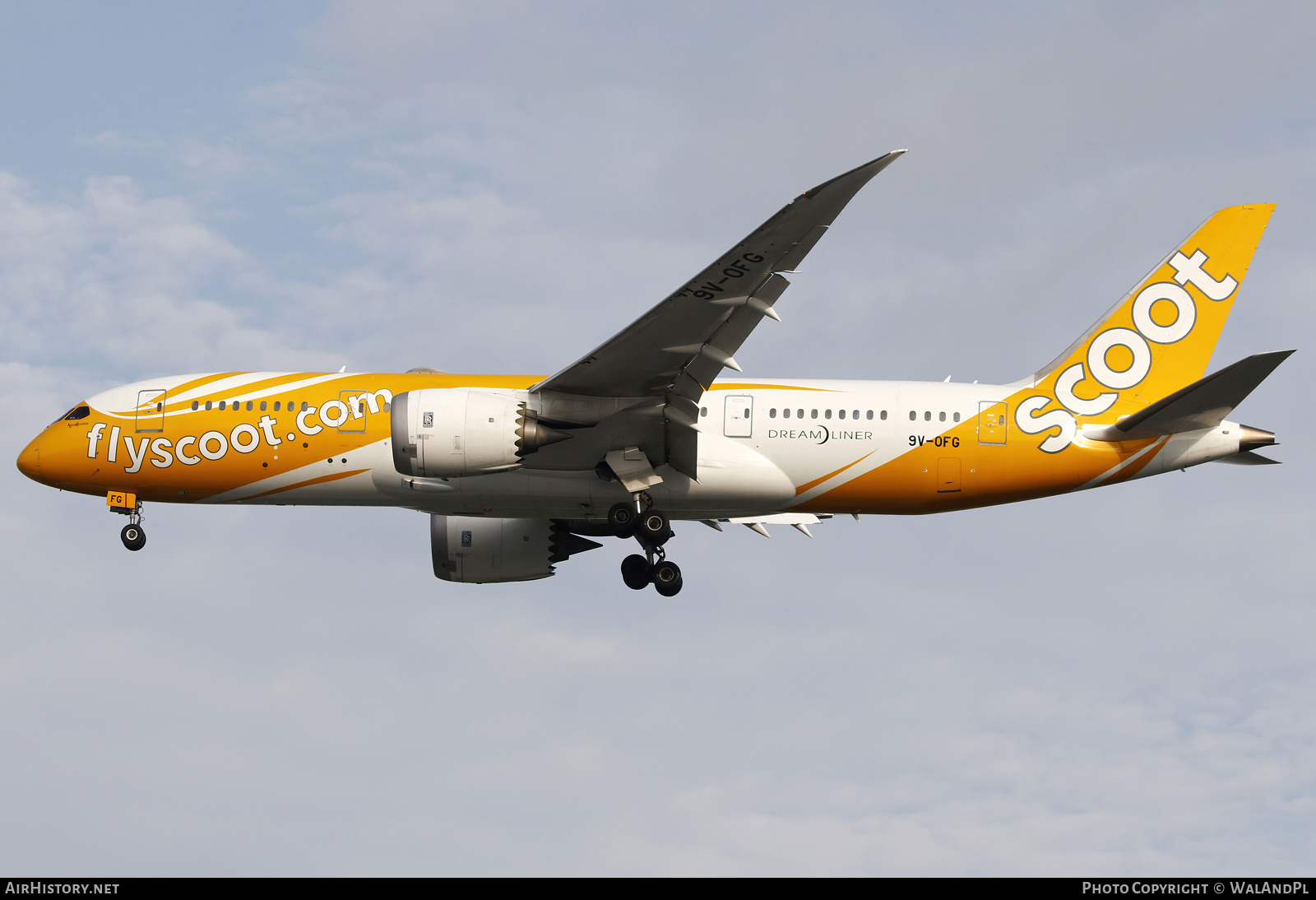 Aircraft Photo of 9V-OFG | Boeing 787-8 Dreamliner | Scoot | AirHistory.net #667301