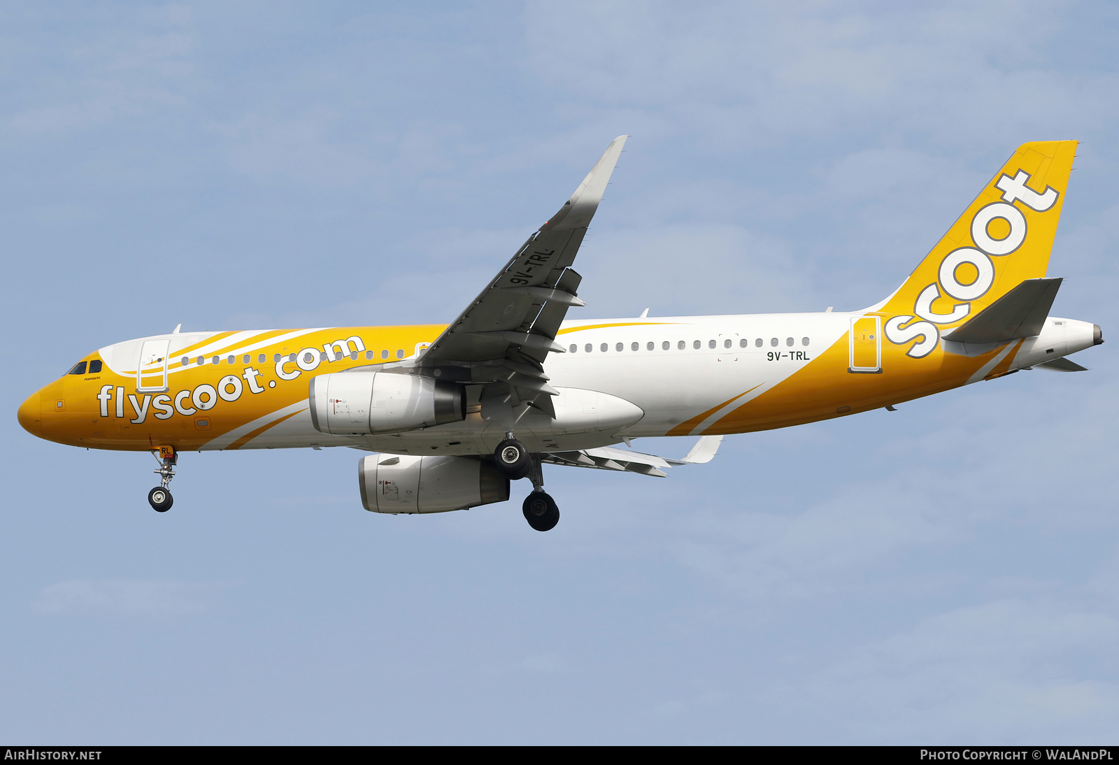 Aircraft Photo of 9V-TRL | Airbus A320-232 | Scoot | AirHistory.net #667308