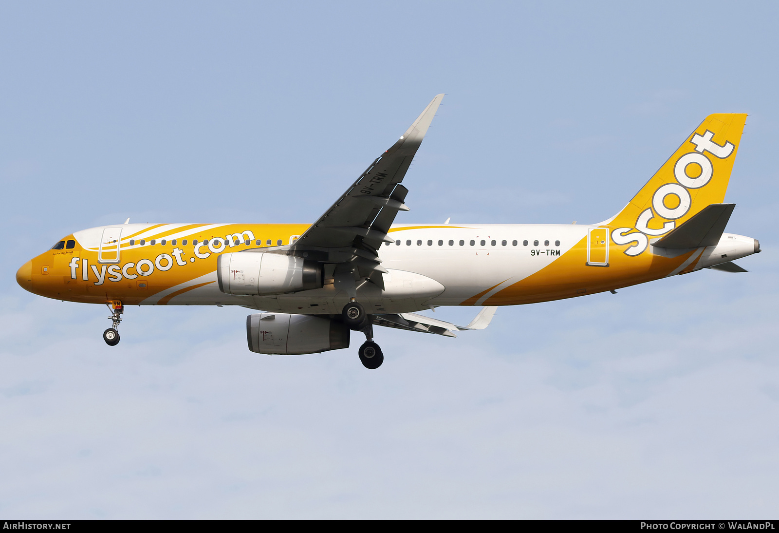 Aircraft Photo of 9V-TRM | Airbus A320-232 | Scoot | AirHistory.net #667702