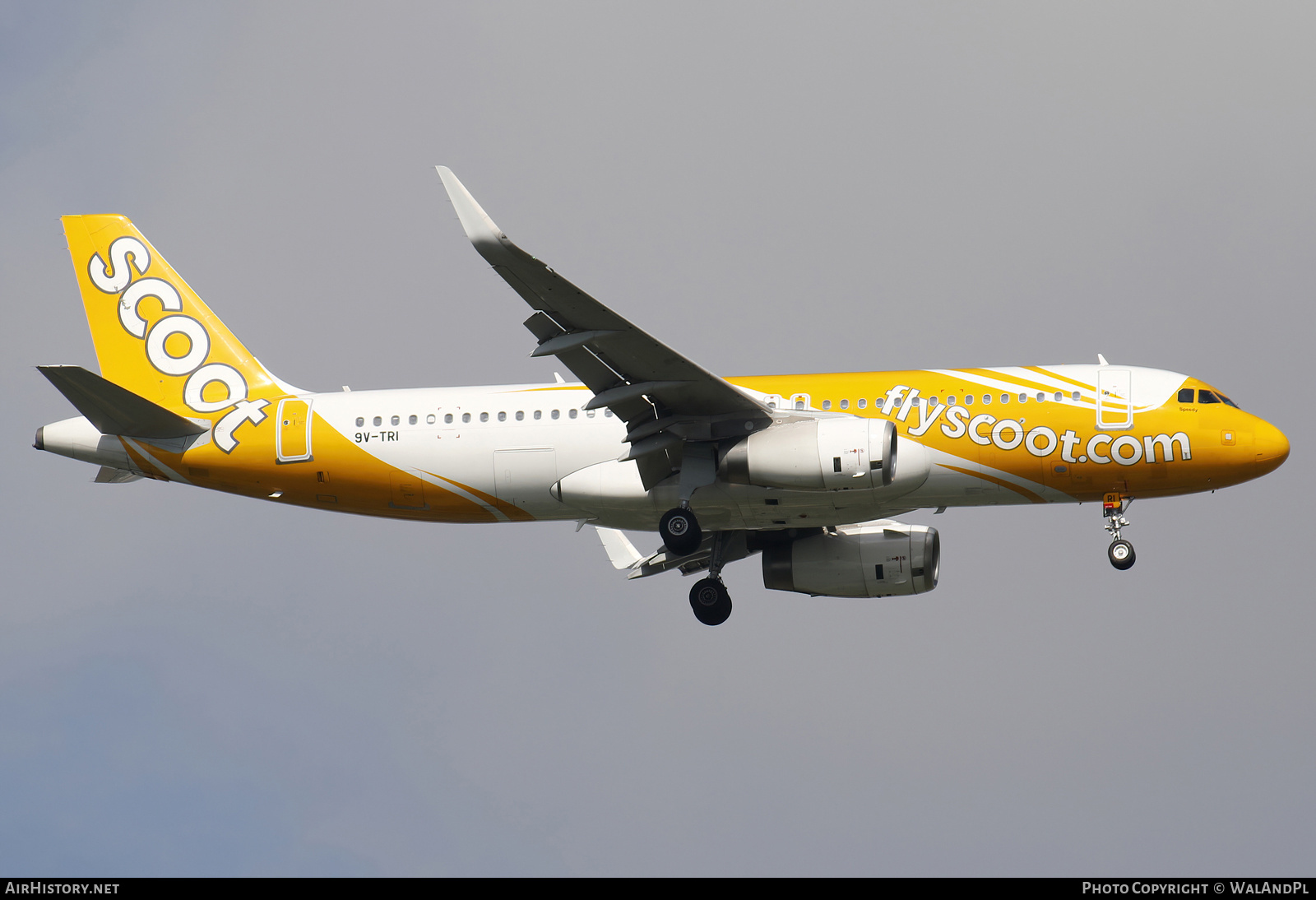 Aircraft Photo of 9V-TRI | Airbus A320-232 | Scoot | AirHistory.net #667709