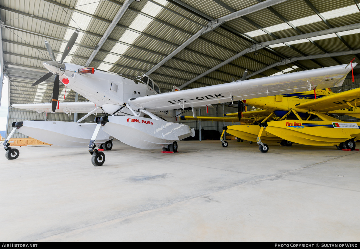 Aircraft Photo of EC-OEK | Air Tractor AT-802F Fire Boss (AT-802A) | AirHistory.net #668031