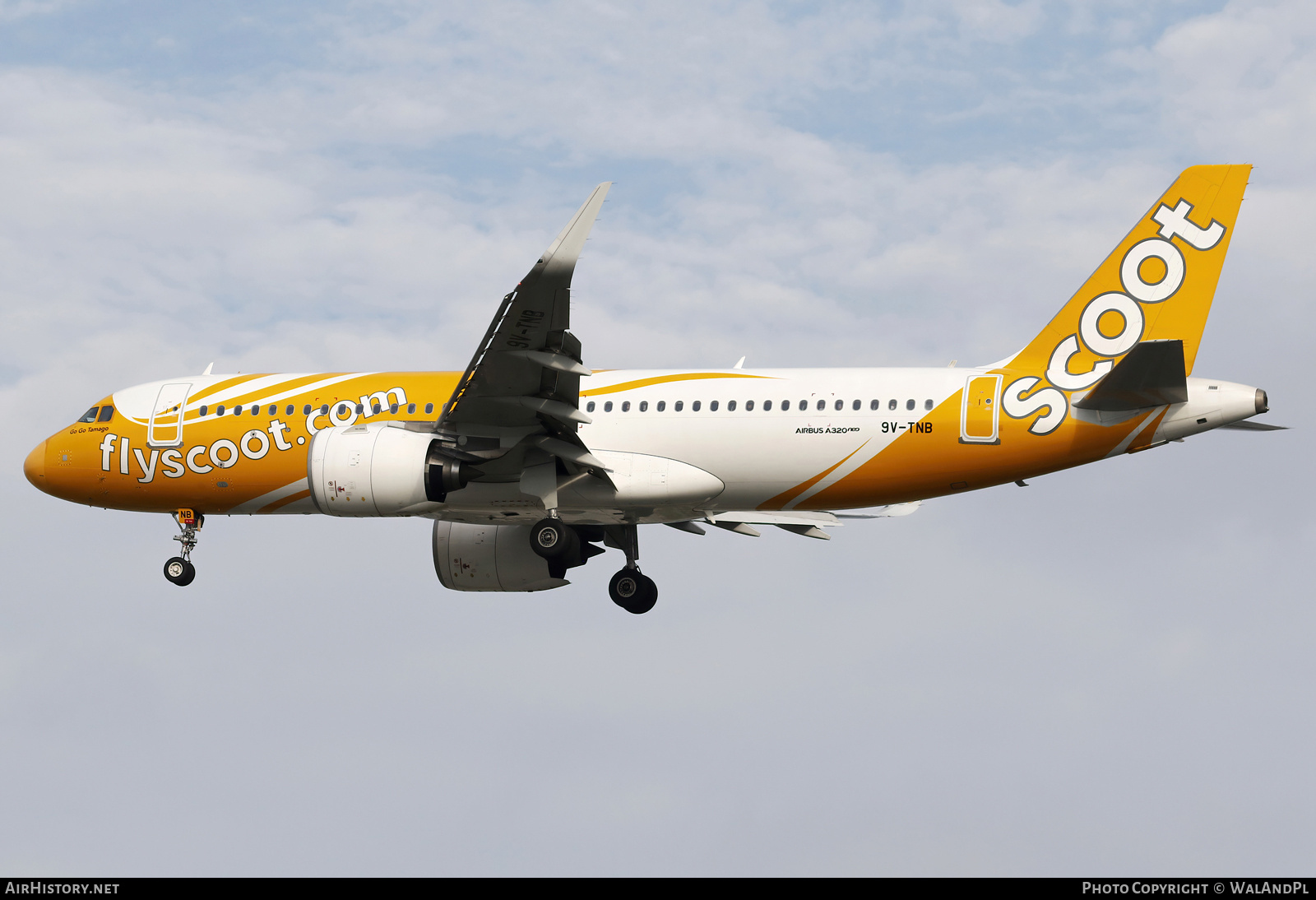 Aircraft Photo of 9V-TNB | Airbus A320-271N | Scoot | AirHistory.net #668096