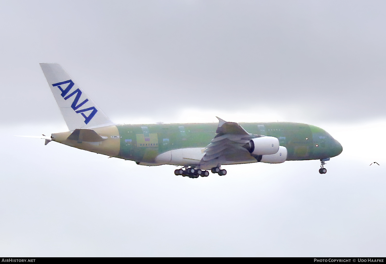 Aircraft Photo of F-WWAL | Airbus A380-841 | All Nippon Airways - ANA | AirHistory.net #668159