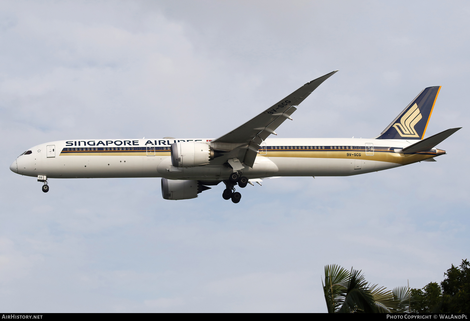 Aircraft Photo of 9V-SCG | Boeing 787-10 Dreamliner | Singapore Airlines | AirHistory.net #668167