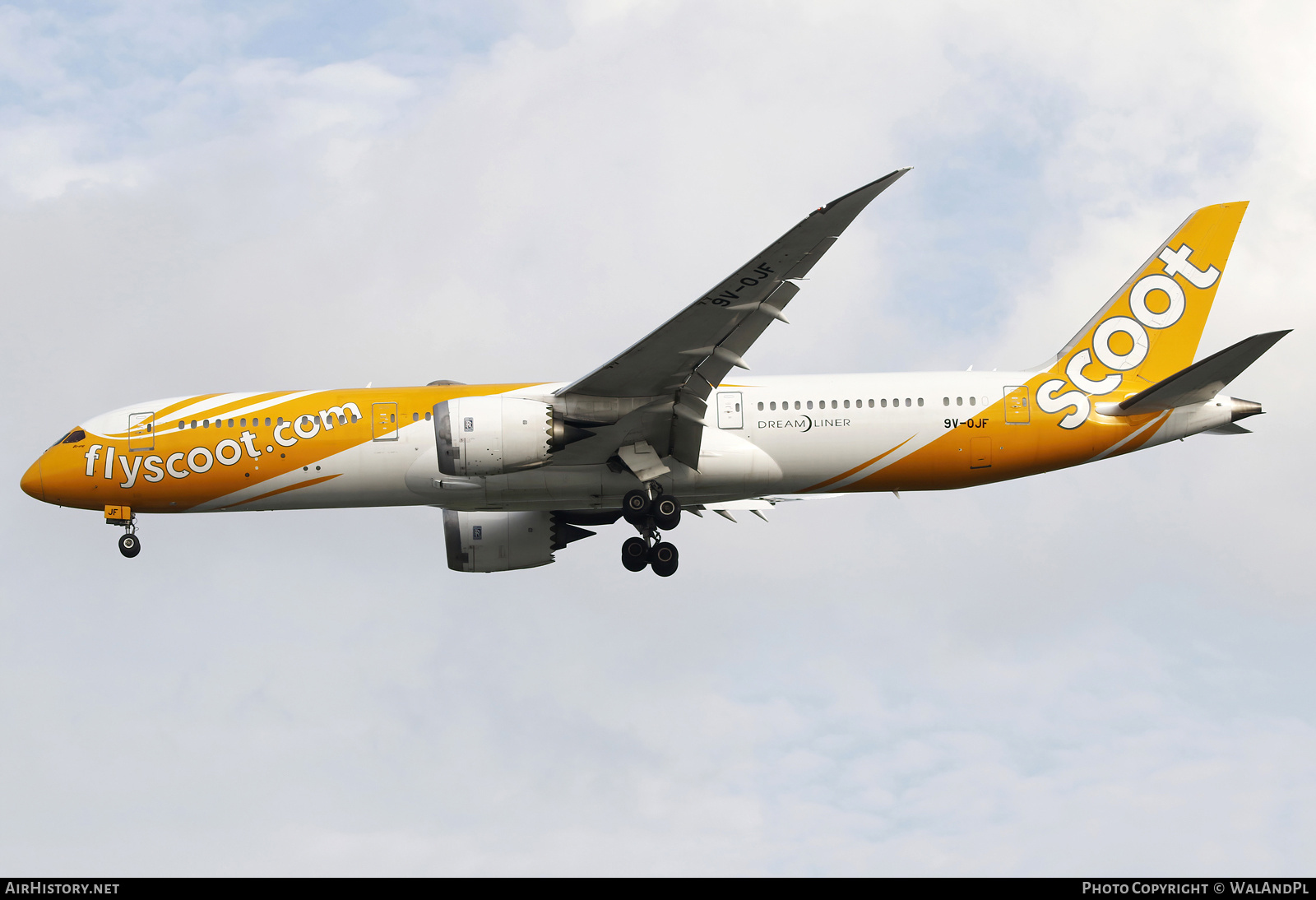 Aircraft Photo of 9V-OJF | Boeing 787-9 Dreamliner | Scoot | AirHistory.net #668207