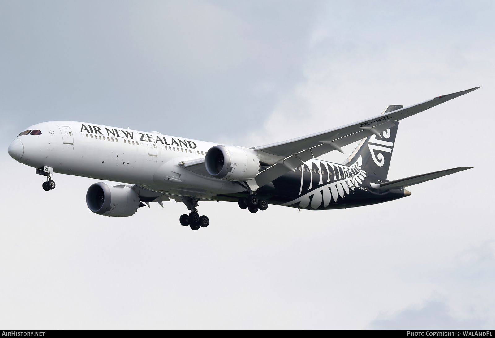 Aircraft Photo of ZK-NZL | Boeing 787-9 Dreamliner | Air New Zealand | AirHistory.net #668546