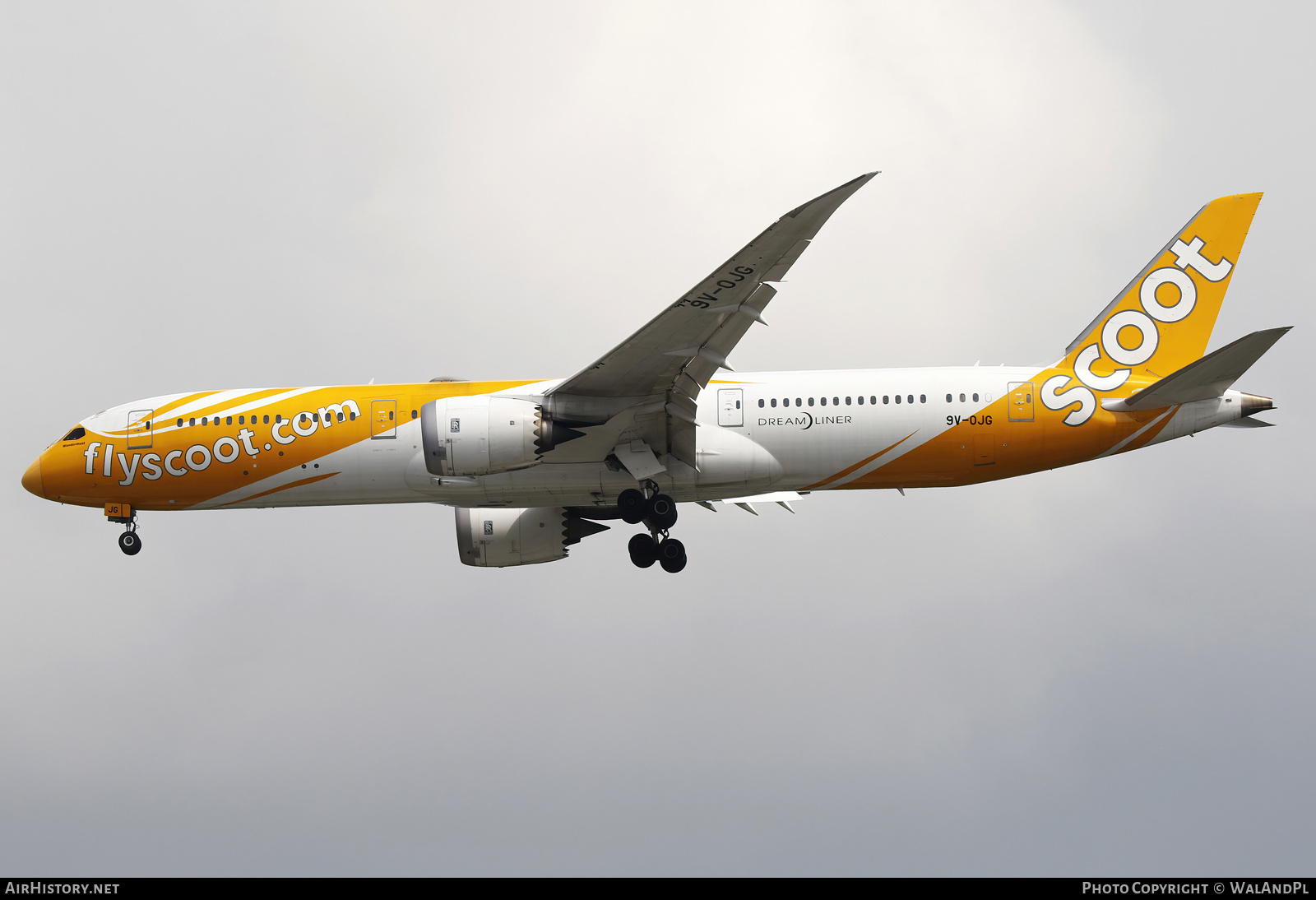 Aircraft Photo of 9V-OJG | Boeing 787-9 Dreamliner | Scoot | AirHistory.net #668583