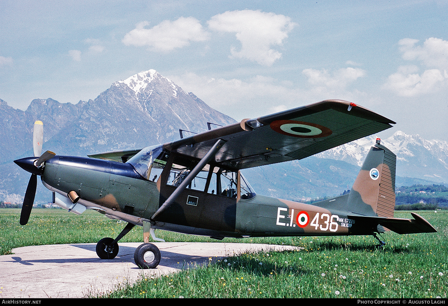 Aircraft Photo of MM57229 | SIAI-Marchetti SM-1019A | Italy - Army | AirHistory.net #668751