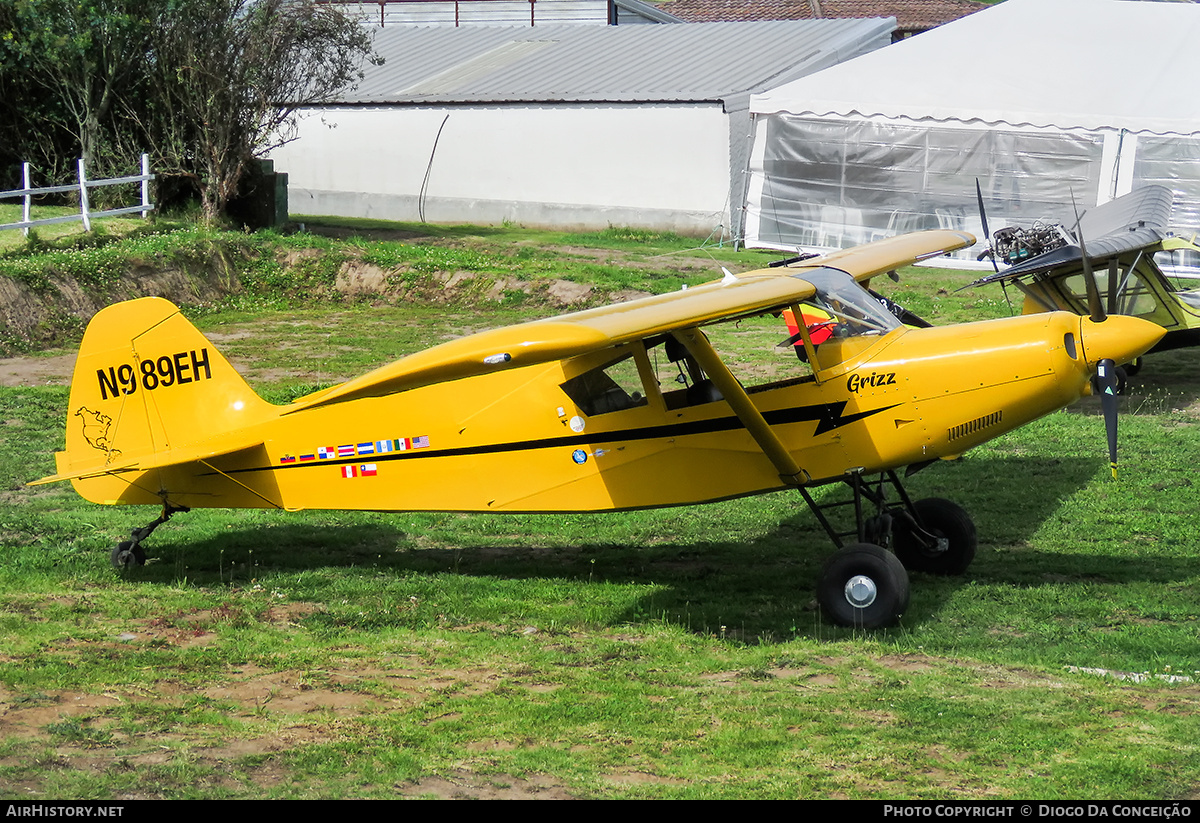 Aircraft Photo of N989EH | AviPro Bearhawk | AirHistory.net #669360
