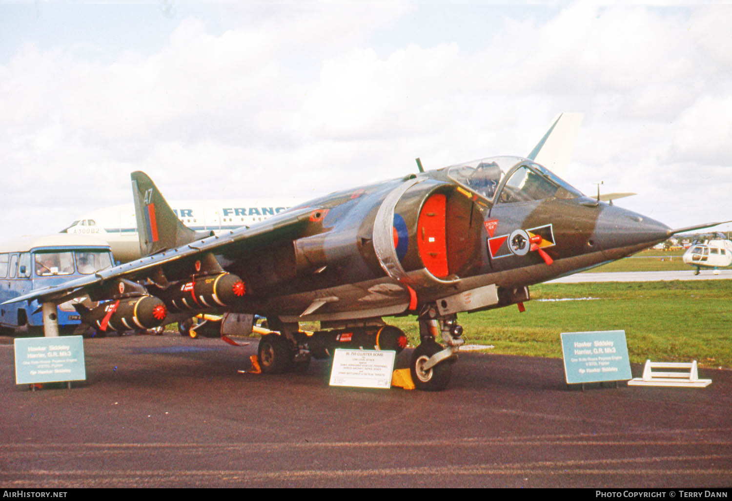 Aircraft Photo of XV807 | Hawker Siddeley Harrier GR1 | UK - Air Force | AirHistory.net #670414