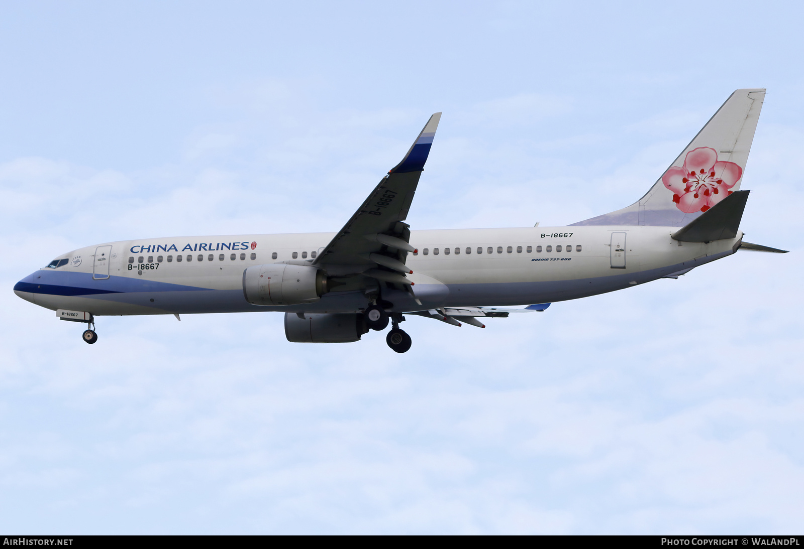 Aircraft Photo of B-18667 | Boeing 737-800 | China Airlines | AirHistory.net #672503