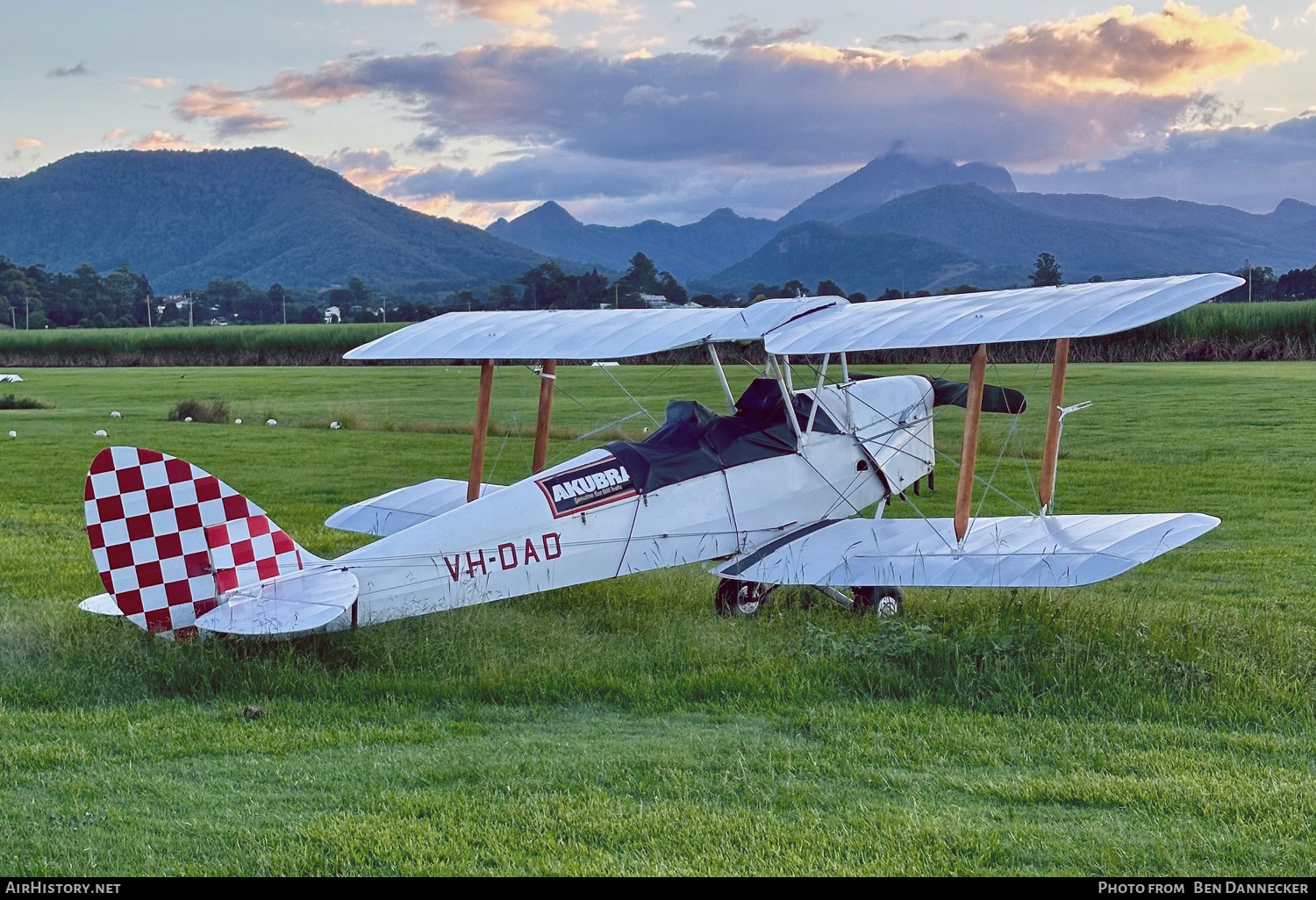 Aircraft Photo of VH-DAD | De Havilland D.H. 82A Tiger Moth | AirHistory.net #672757