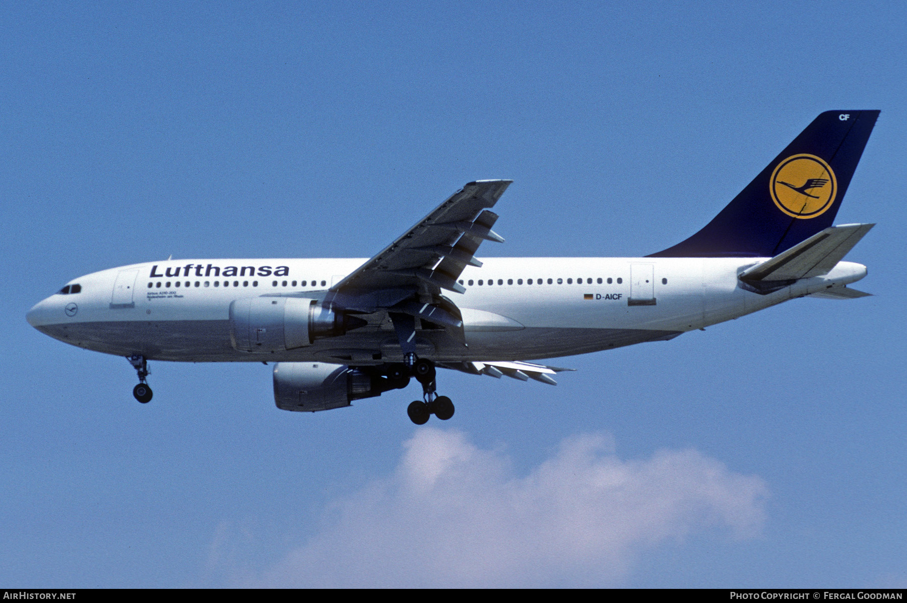 Aircraft Photo of D-AICF | Airbus A310-203 | Lufthansa | AirHistory.net #675904