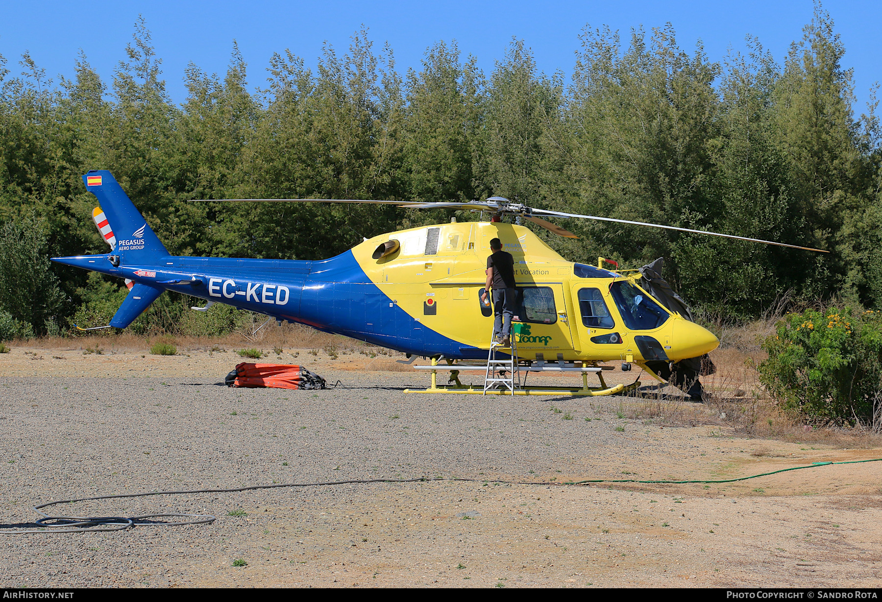 Aircraft Photo of EC-KED | Agusta A-119 Koala | Pegasus Aero Group | AirHistory.net #676250