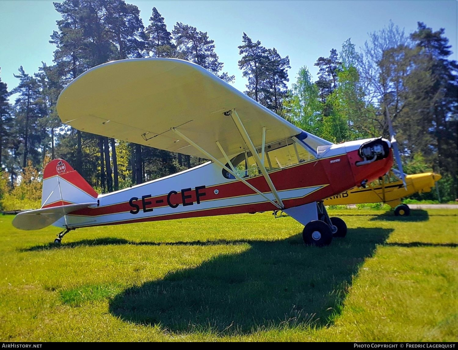 Aircraft Photo of SE-CEF | Piper J-3C-65 Cub | AirHistory.net #677036