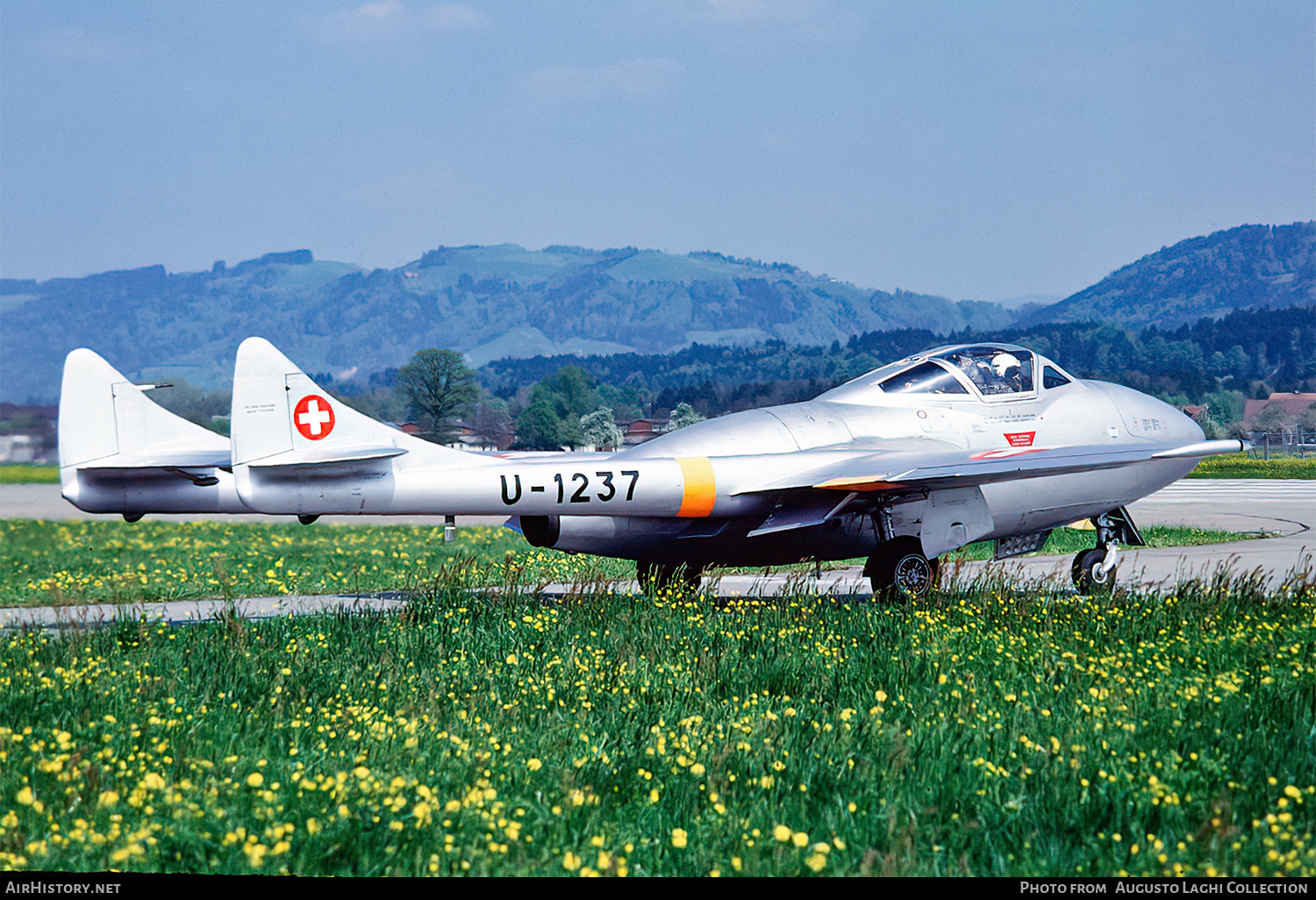 Aircraft Photo of U-1237 | De Havilland D.H. 115 Vampire T55 | Switzerland - Air Force | AirHistory.net #677614