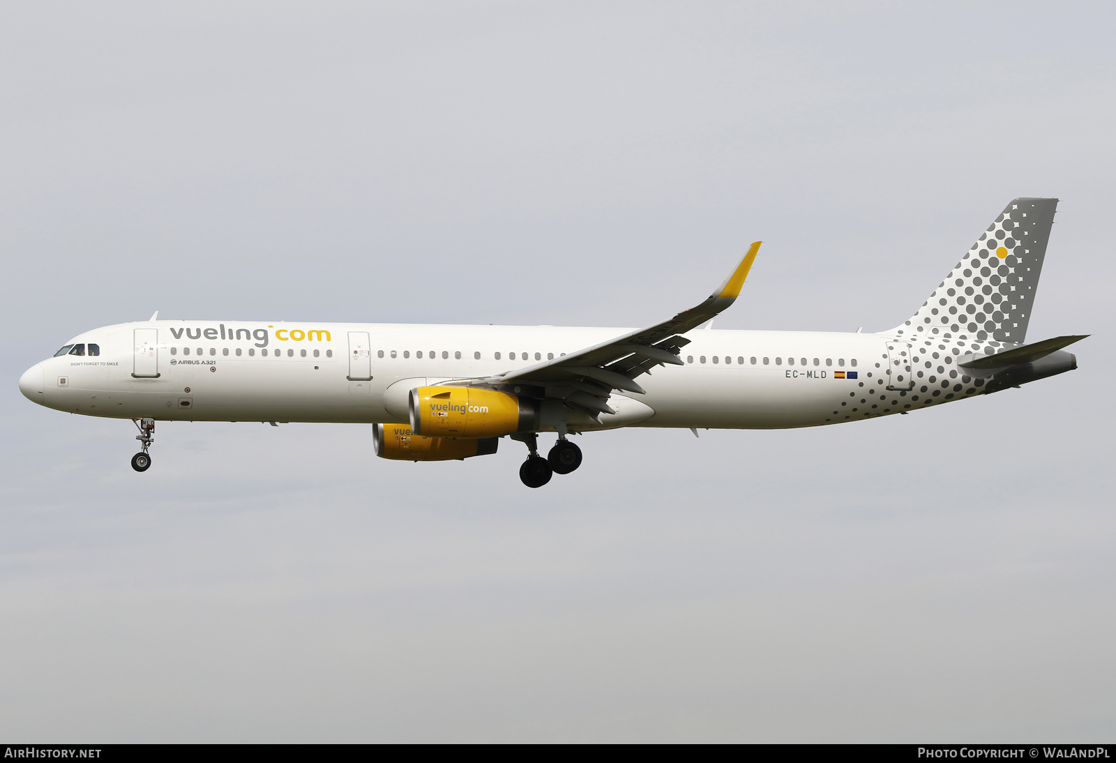 Aircraft Photo of EC-MLD | Airbus A321-231 | Vueling Airlines | AirHistory.net #677641