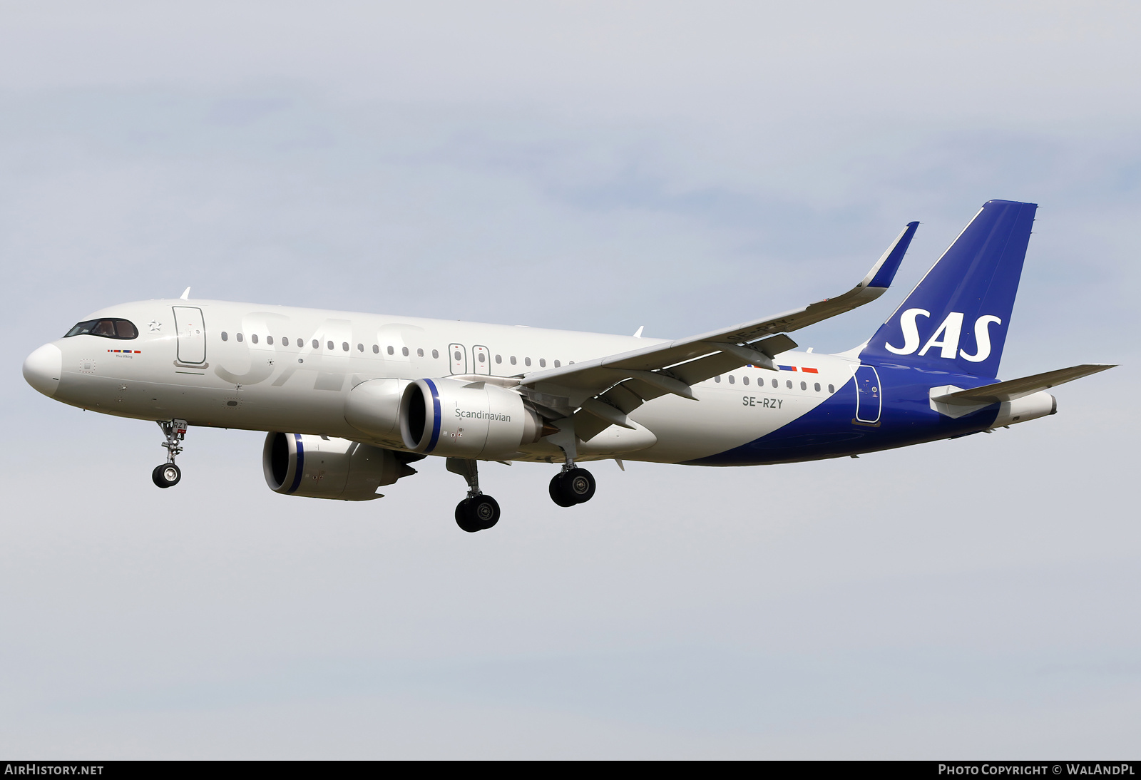 Aircraft Photo of SE-RZY | Airbus A320-251N | Scandinavian Airlines - SAS | AirHistory.net #677649