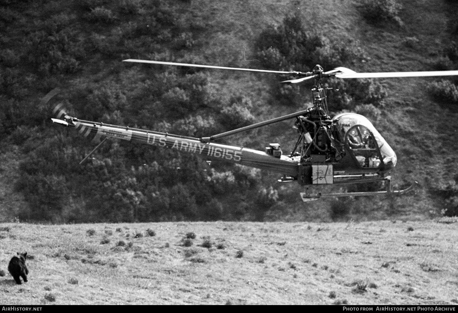 Aircraft Photo of 51-16155 | Hiller H-23B Raven | USA - Army | AirHistory.net #677820