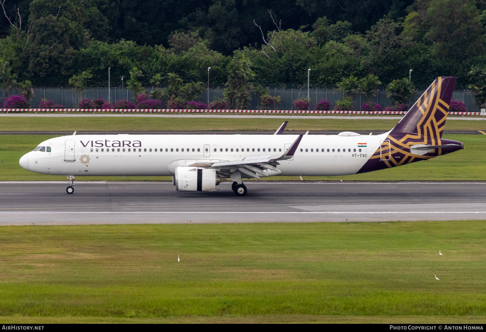 Aircraft Photo of VT-TVC | Airbus A321-251NX | Vistara | AirHistory.net #678874