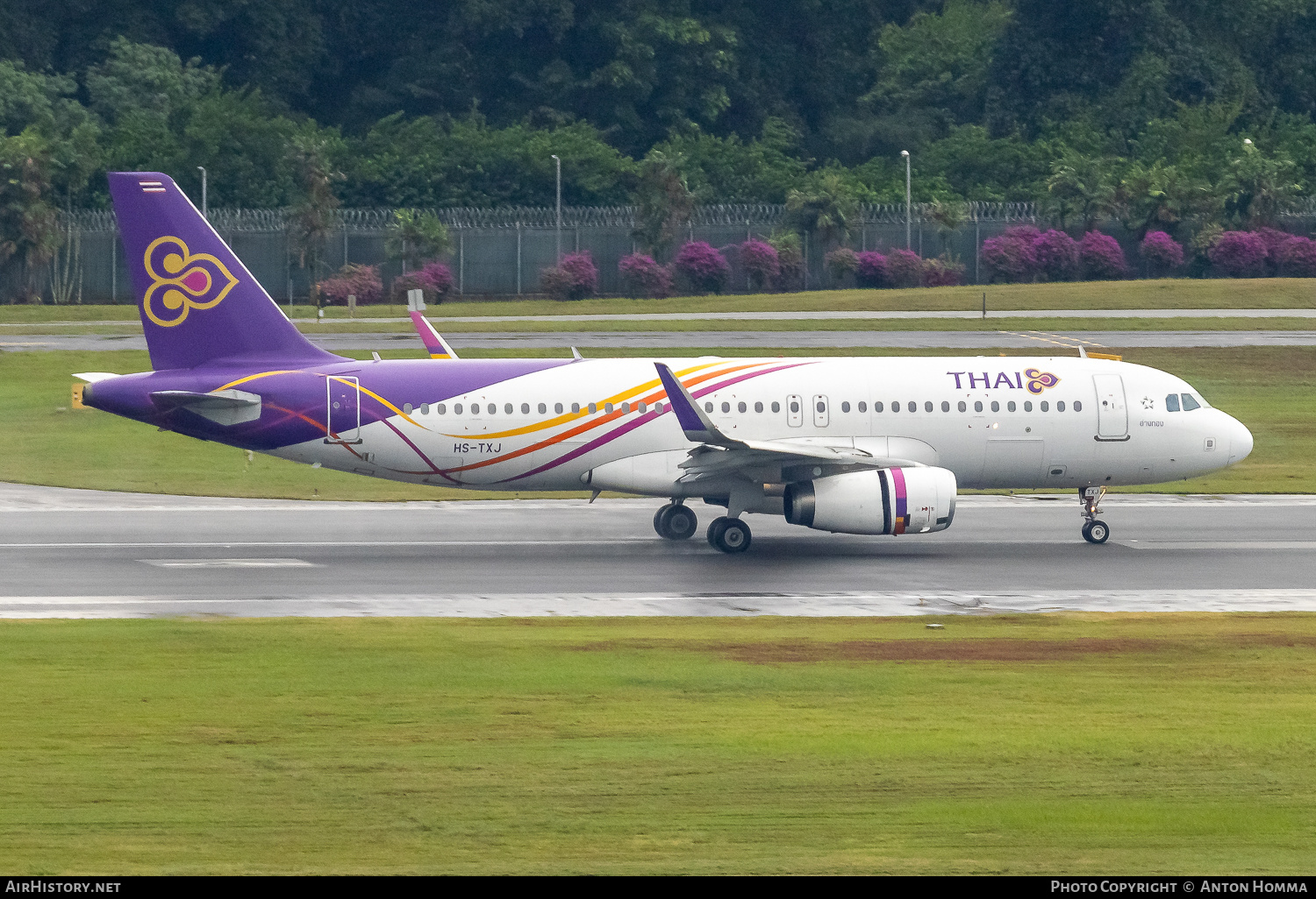 Aircraft Photo of HS-TXJ | Airbus A320-232 | Thai Airways International | AirHistory.net #681998