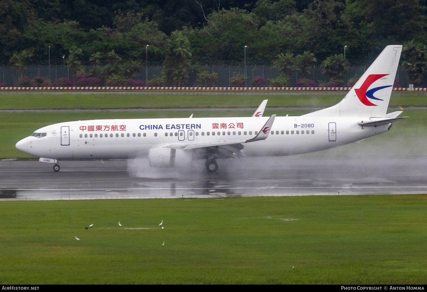 Aircraft Photo of B-208D | Boeing 737-800 | China Eastern Yunnan Airlines | AirHistory.net #683909