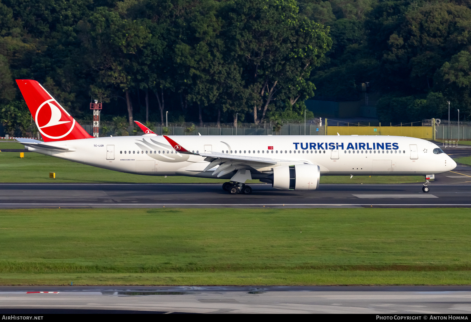 Aircraft Photo of TC-LGR | Airbus A350-941 | Turkish Airlines | AirHistory.net #684208