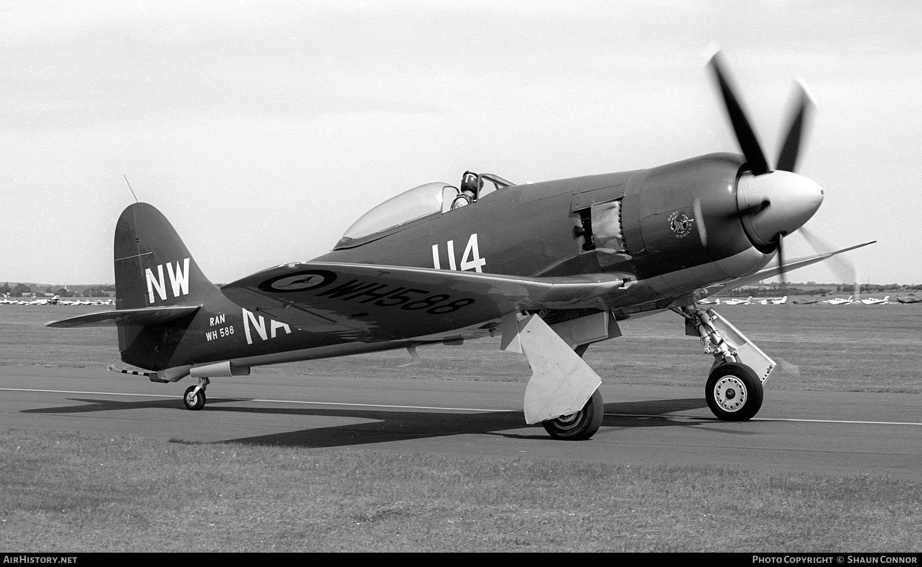 Aircraft Photo of G-EEMV / WH588 | Hawker Sea Fury FB11 | Australia - Navy | AirHistory.net #684830