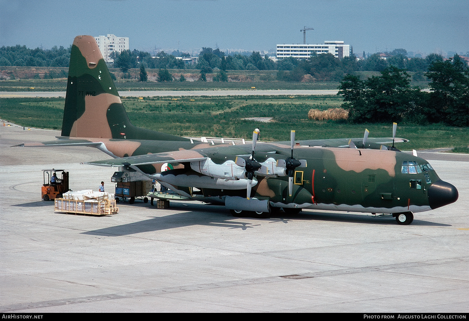 Aircraft Photo of 7T-WHZ | Lockheed C-130H Hercules | Algeria - Air Force | AirHistory.net #684935