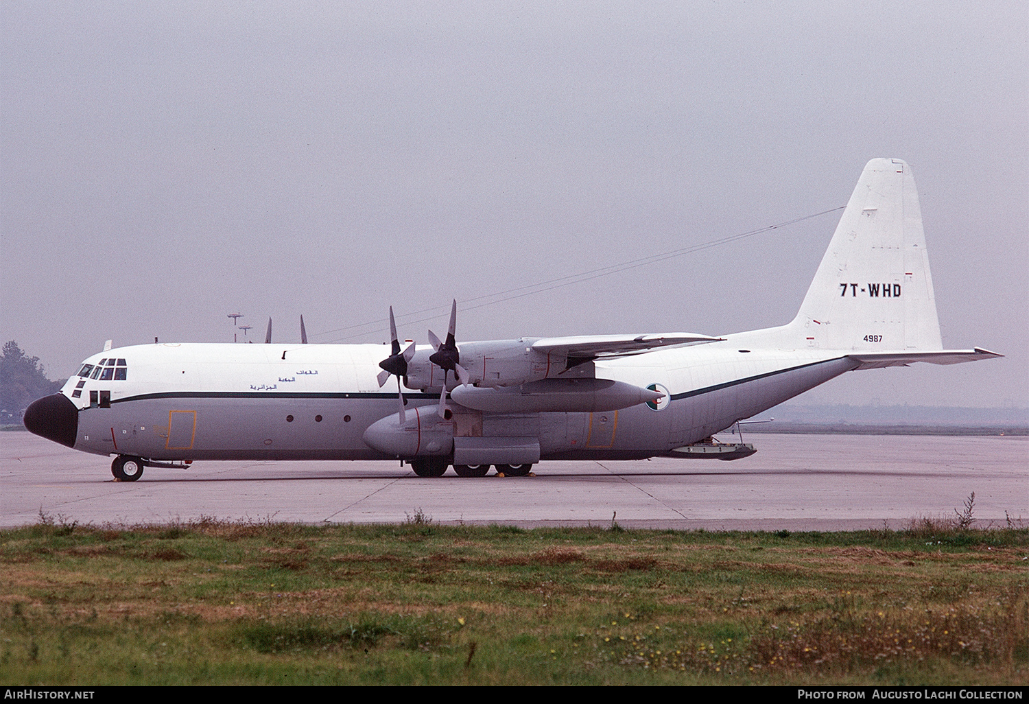 Aircraft Photo of 7T-WHD / 4987 | Lockheed C-130H-30 Hercules (L-382) | Algeria - Air Force | AirHistory.net #684949