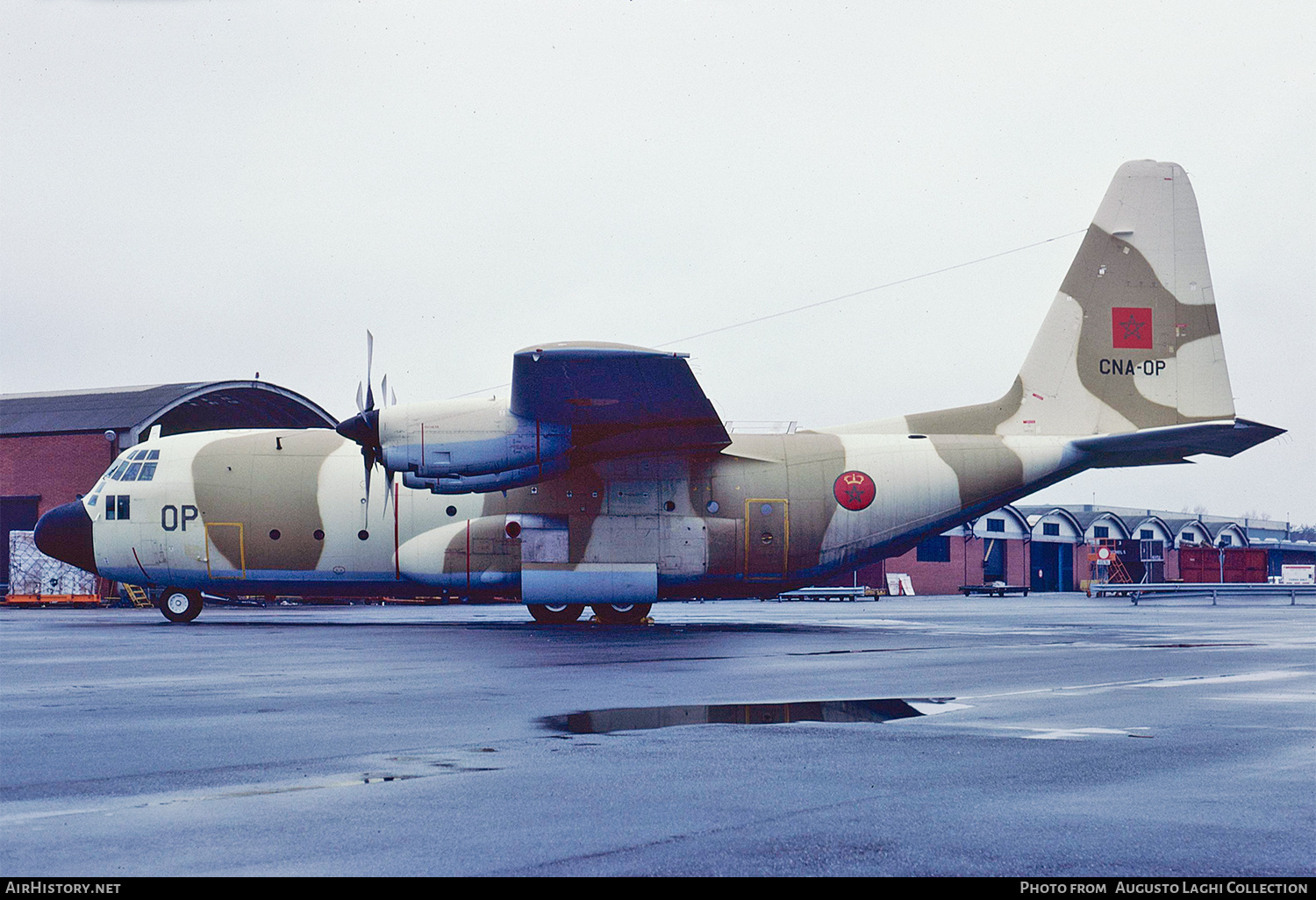 Aircraft Photo of CNA-OP | Lockheed C-130H Hercules | Morocco - Air Force | AirHistory.net #687246