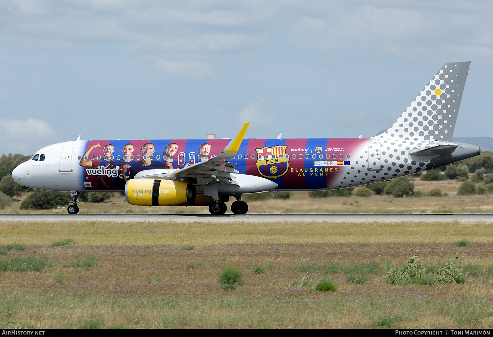 Aircraft Photo of EC-MER | Airbus A320-232 | Vueling Airlines | AirHistory.net #689069