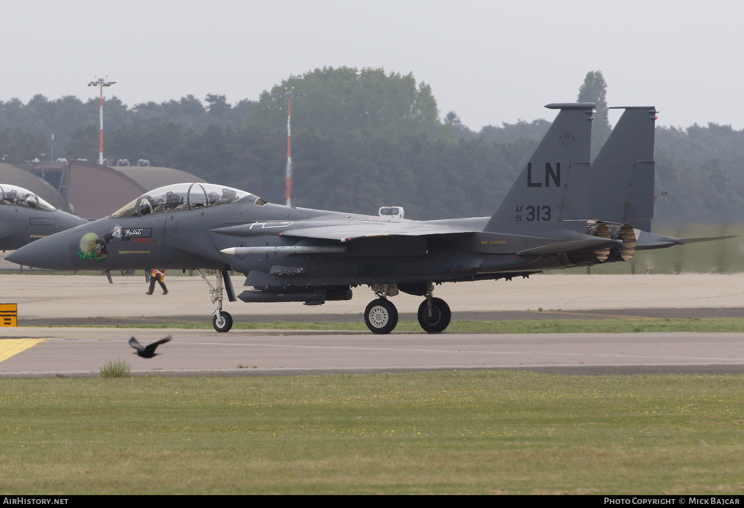 Aircraft Photo of 91-0313 / AF91-313 | McDonnell Douglas F-15E Strike Eagle | USA - Air Force | AirHistory.net #689962