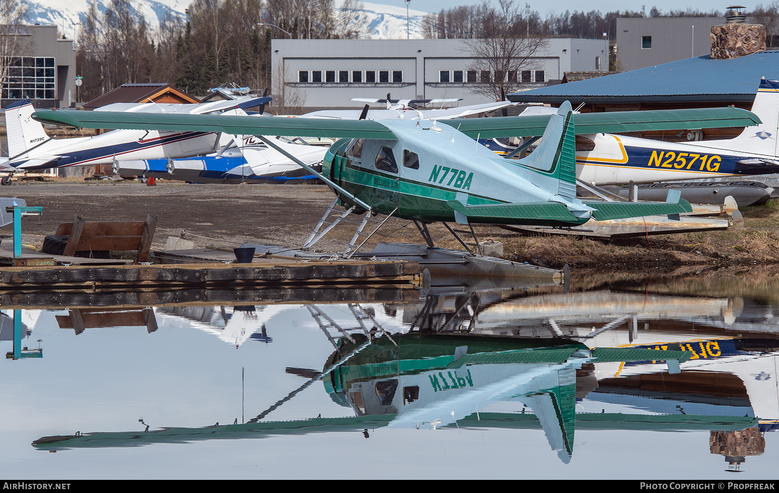 Aircraft Photo of N77BA | De Havilland Canada DHC-2 Beaver Mk.1 | Beluga Air | AirHistory.net #690436