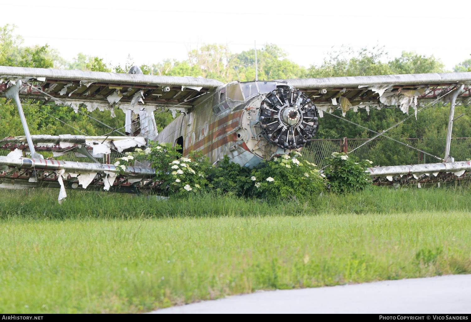 Aircraft Photo of 9A-BOF | Antonov An-2R | Croatia - Air Force | AirHistory.net #691988
