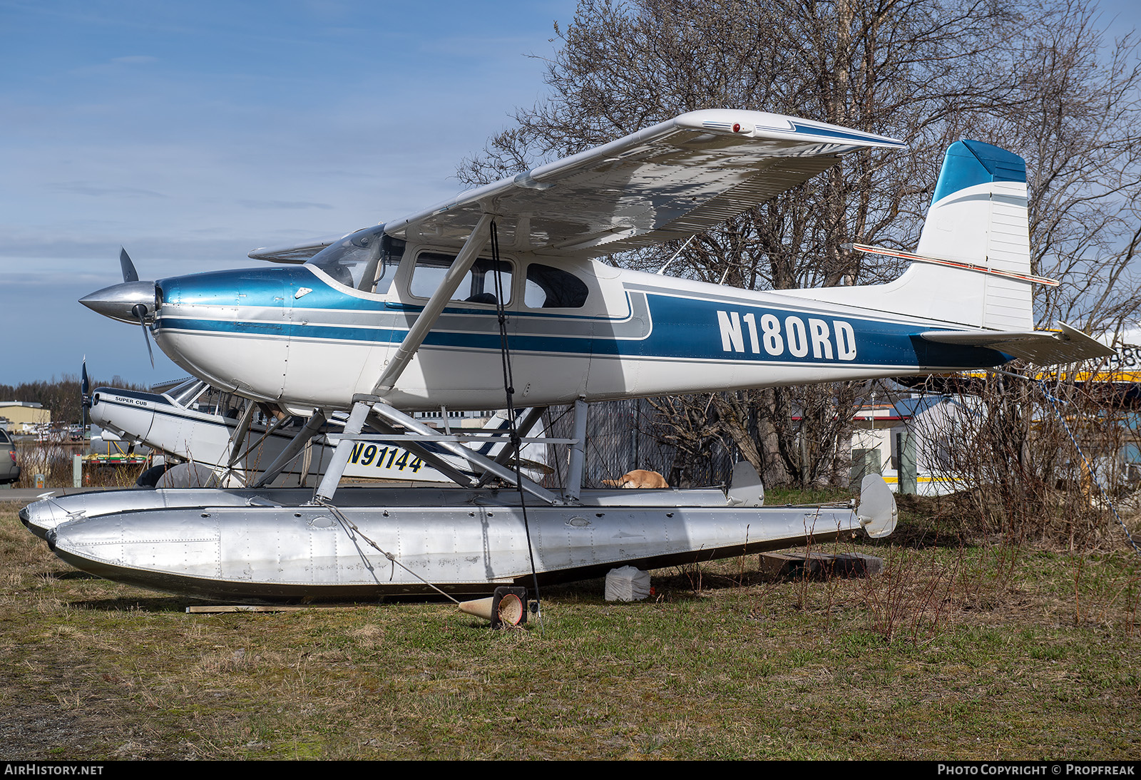 Aircraft Photo of N180RD | Cessna 180 | AirHistory.net #694277