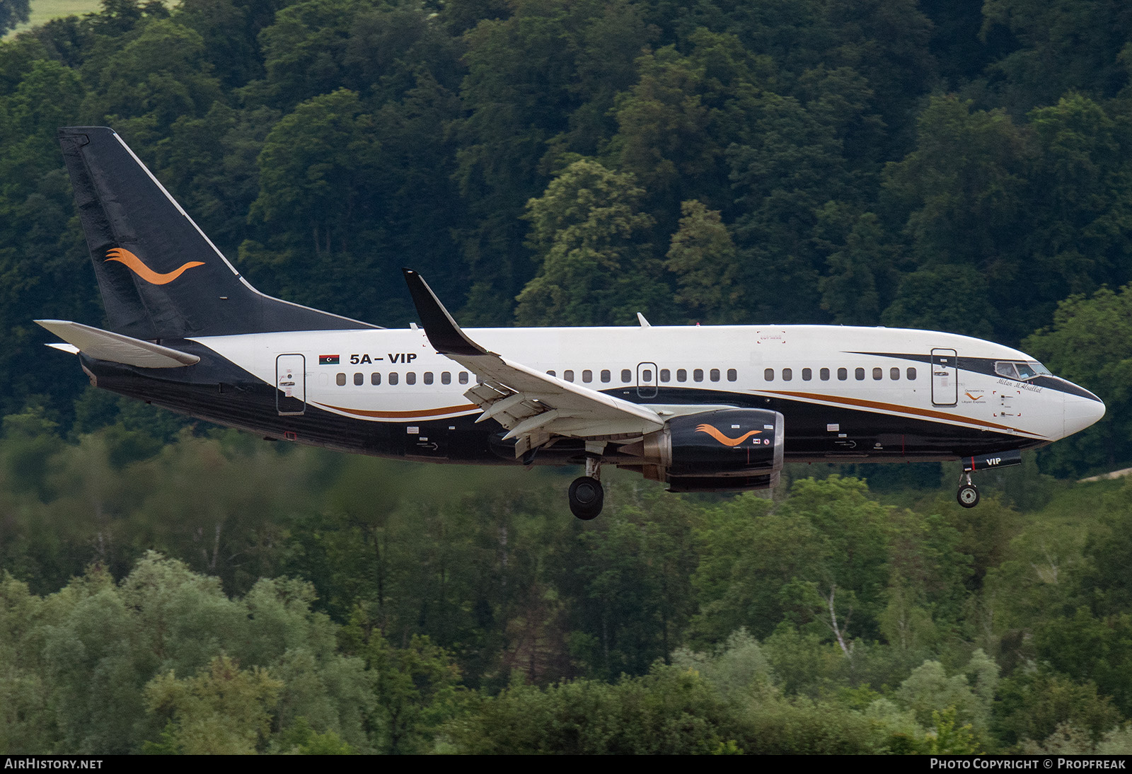 Aircraft Photo of 5A-VIP | Boeing 737-5Y0 | Libyan Express Air | AirHistory.net #697670