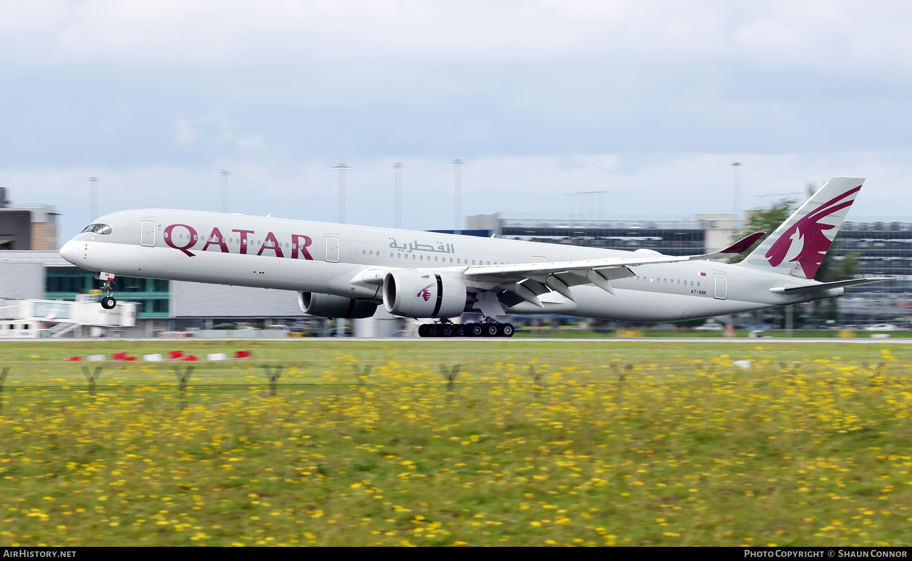 Aircraft Photo of A7-ANK | Airbus A350-1041 | Qatar Airways | AirHistory.net #698877