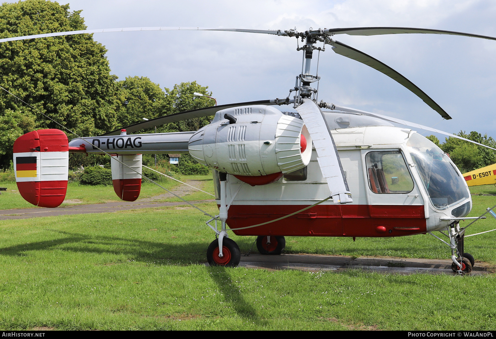 Aircraft Photo of D-HOAG | Kamov Ka-26 | AirHistory.net #699155