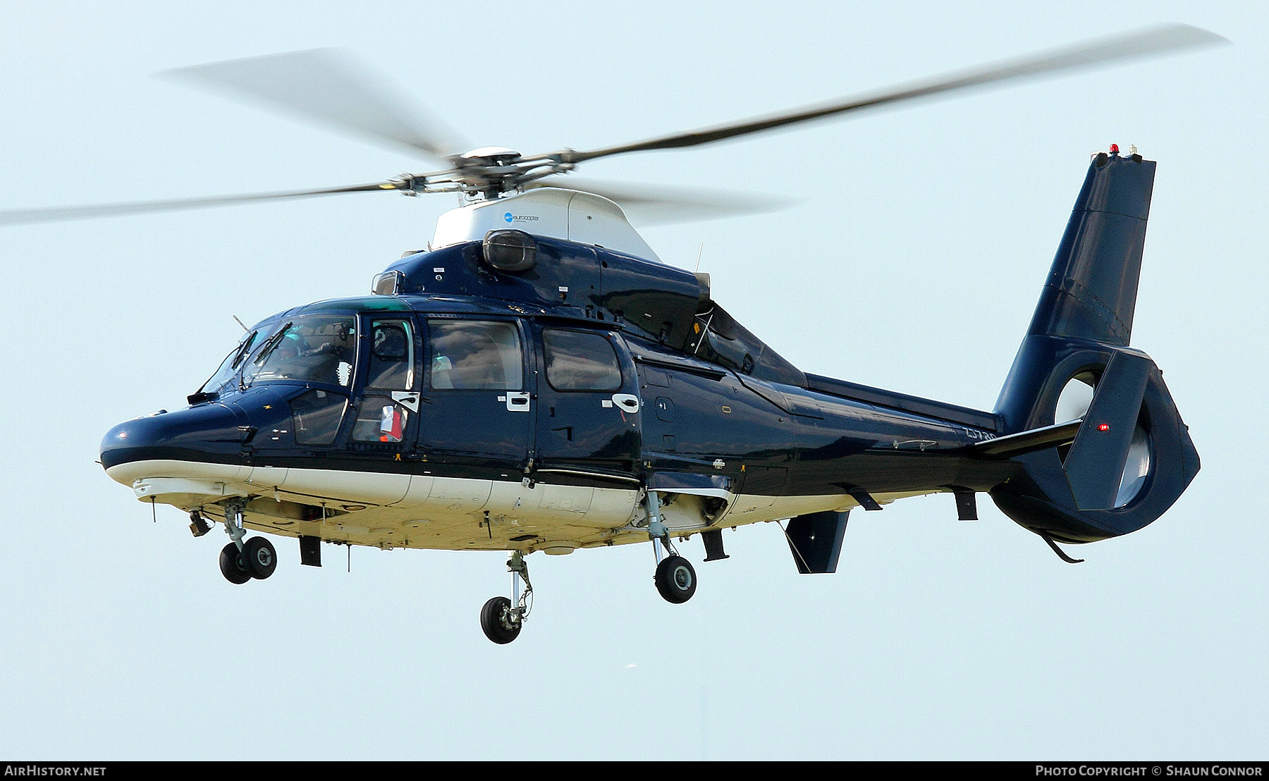 Aircraft Photo of ZJ780 | Airbus Helicopters AS365N3 Dauphin AH1 | UK - Army | AirHistory.net #699735