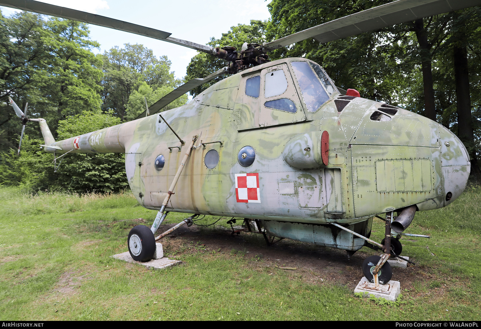 Aircraft Photo of 314 | Mil Mi-4A | Poland - Air Force | AirHistory.net #700842
