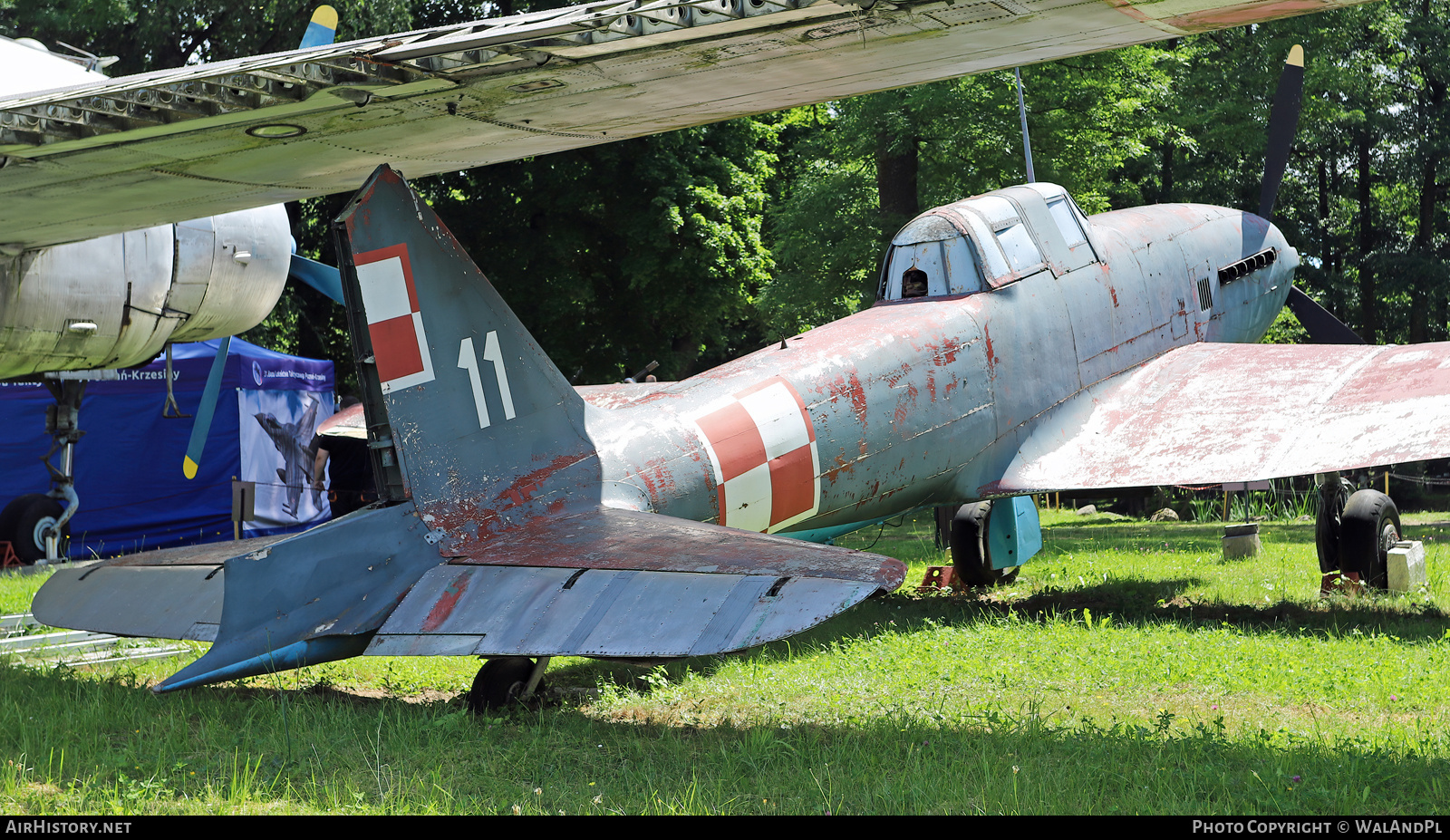Aircraft Photo of 11 | Ilyushin B-33 | Poland - Air Force | AirHistory.net #700847