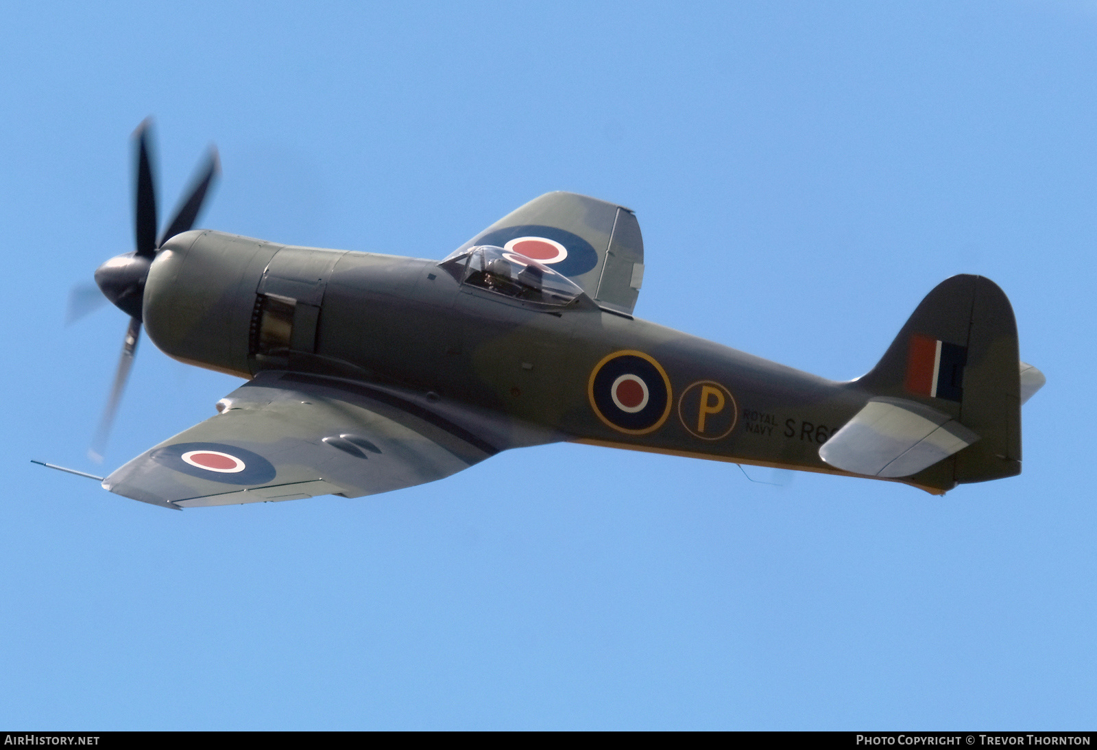 Aircraft Photo of G-CBEL / SR661 | Hawker Sea Fury FB11 | UK - Navy | AirHistory.net #701082