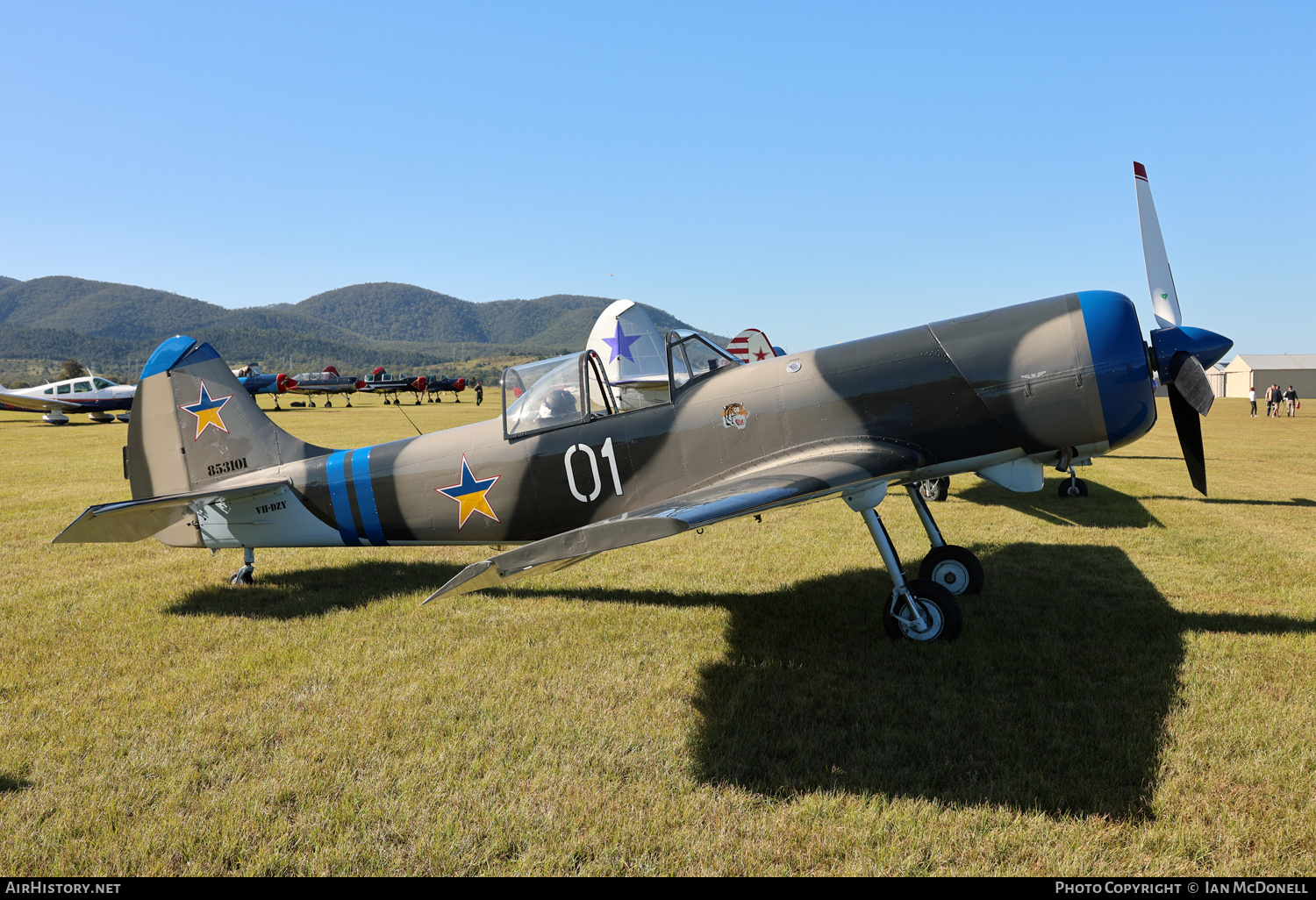 Aircraft Photo of VH-DZY | Yakovlev Yak-50 | AirHistory.net #701732
