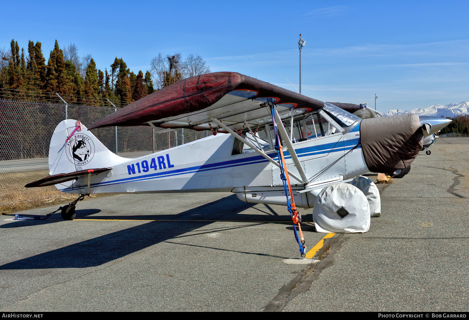 Aircraft Photo of N194RL | Aviat A-1 Husky | AirHistory.net #703075