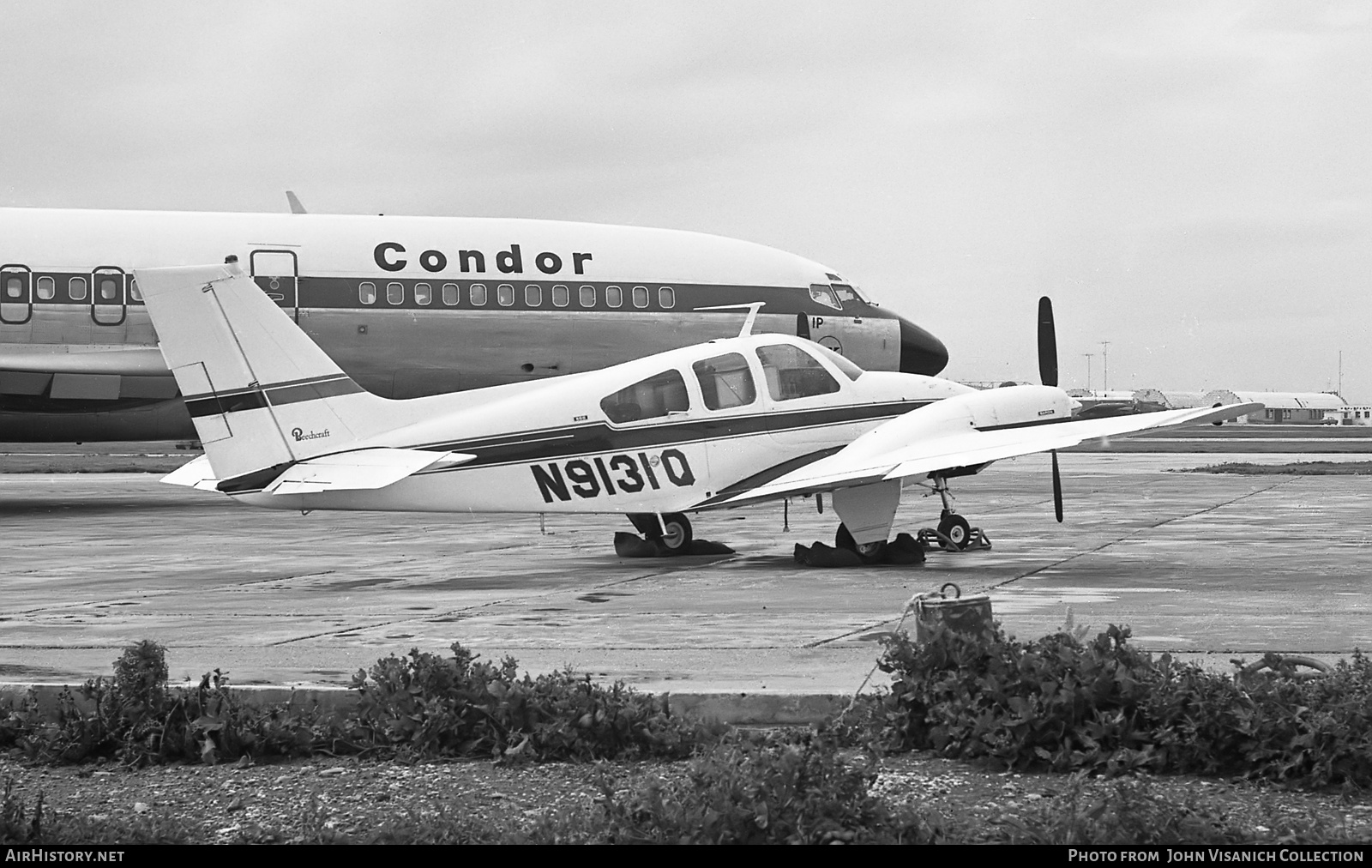 Aircraft Photo of N9131Q | Beech B55 Baron (95-B55) | AirHistory.net #703930