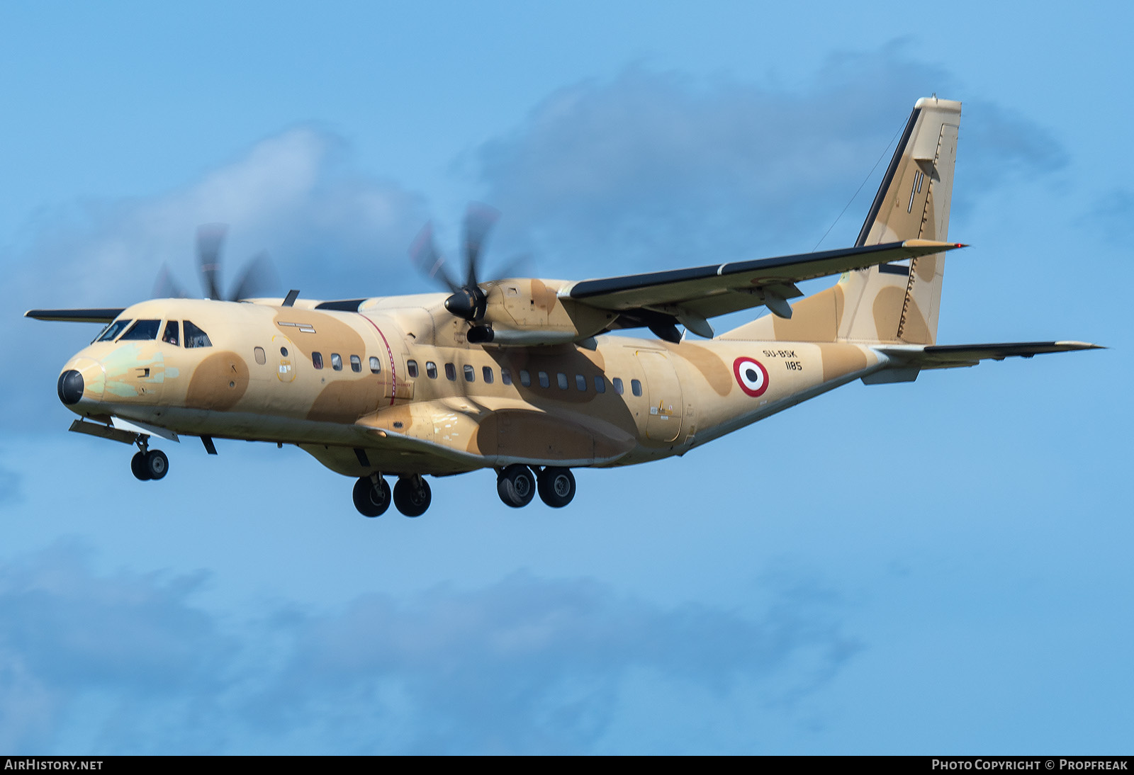 Aircraft Photo of 1185 / SU-BSK | CASA C295M | Egypt - Air Force | AirHistory.net #704261