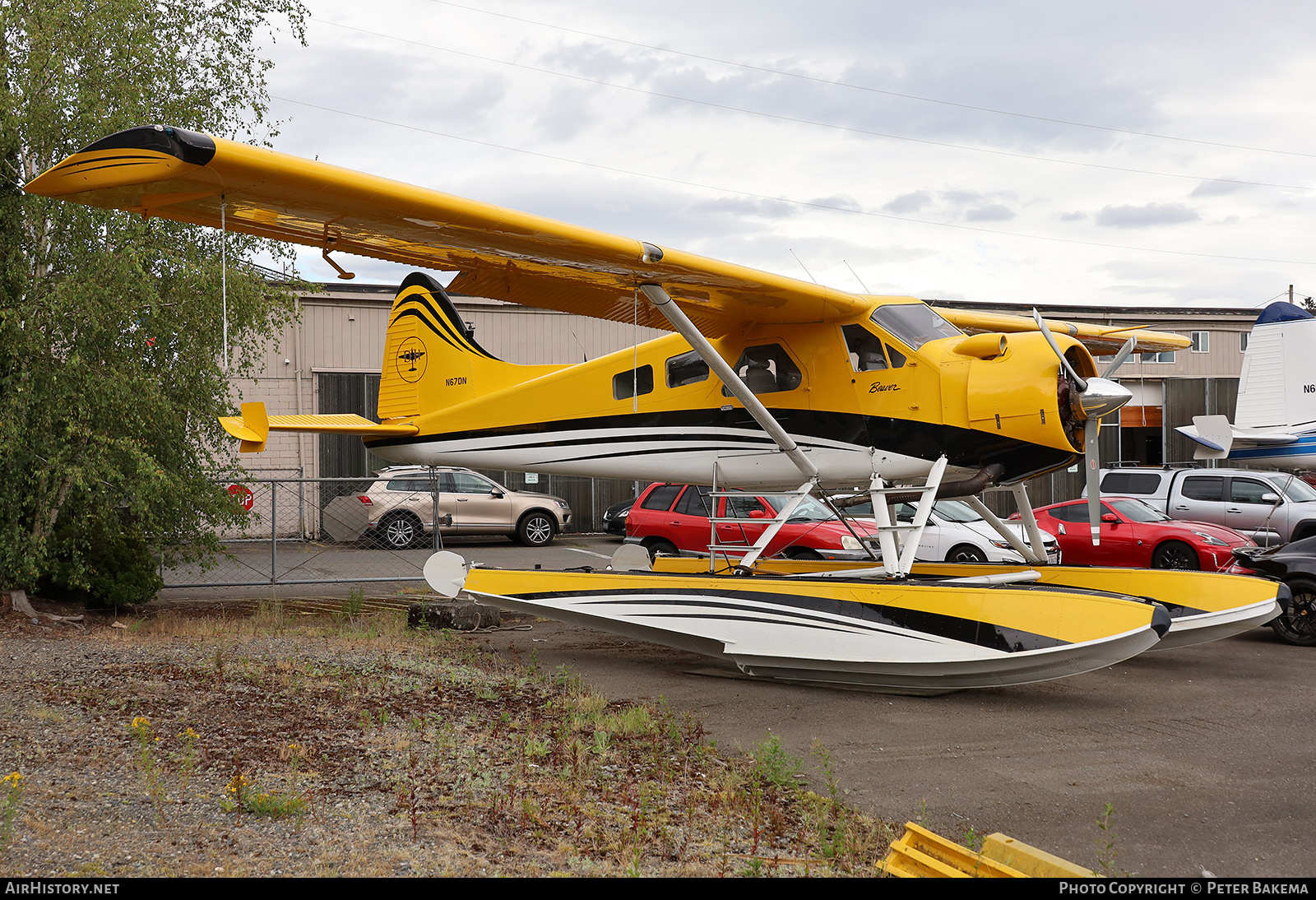Aircraft Photo of N67DN | De Havilland Canada DHC-2 Beaver Mk.1 | AirHistory.net #704640