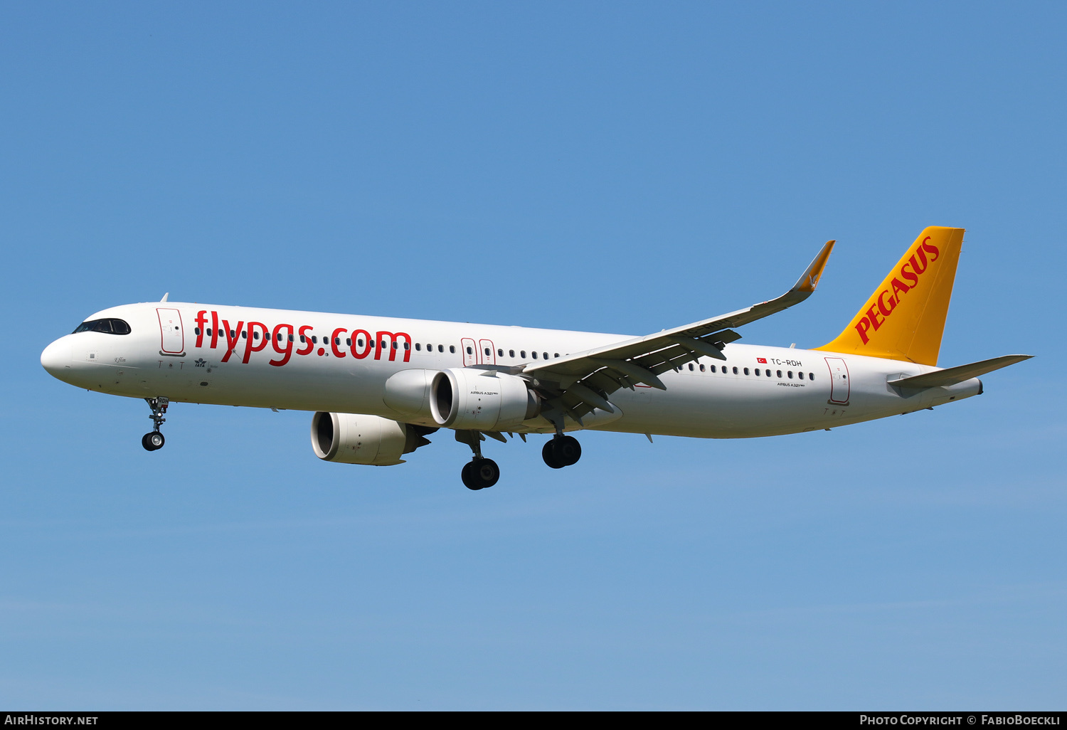 Aircraft Photo of TC-RDH | Airbus A321-251NX | Pegasus Airlines | AirHistory.net #706965